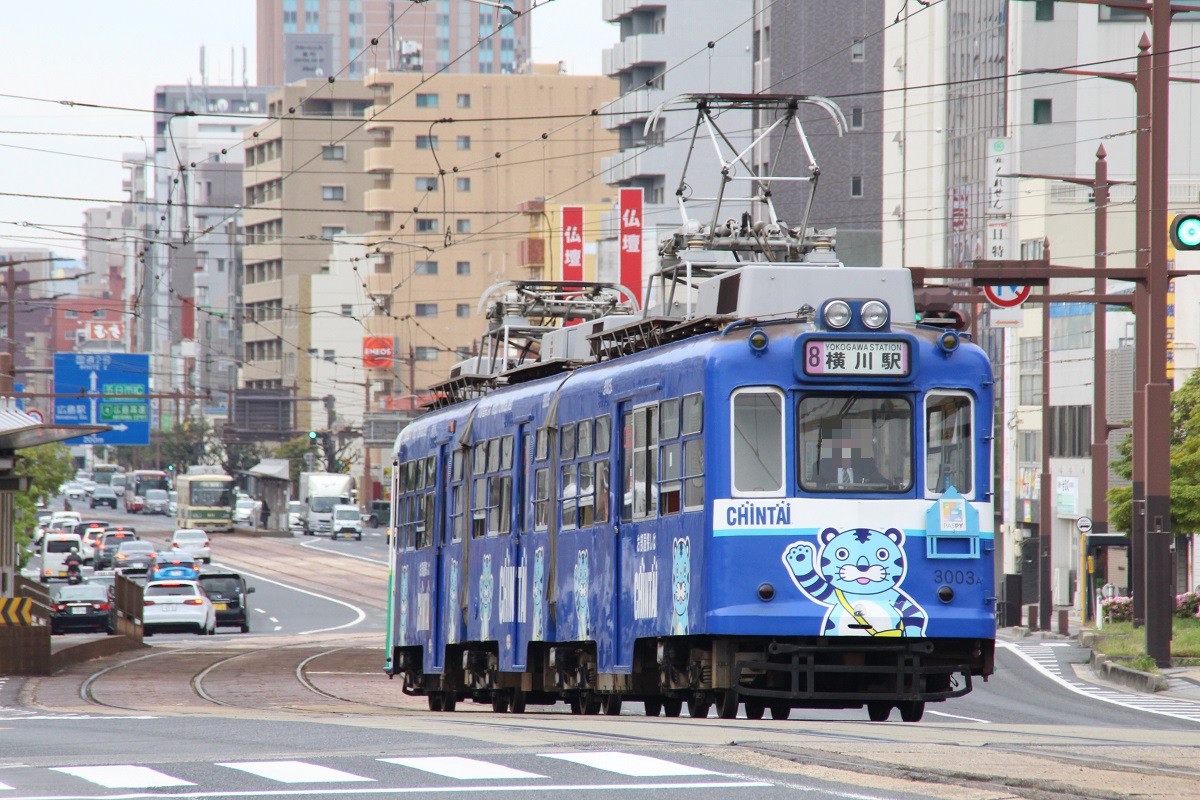 広島電鉄 しれっと復活中！ 8号線の連接車運用
